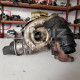 Volkswagen Audi Skoda Seat 53031015129 - 03L253056C - 03L 253 056 C Turbo Orijinal Çıkma Parça